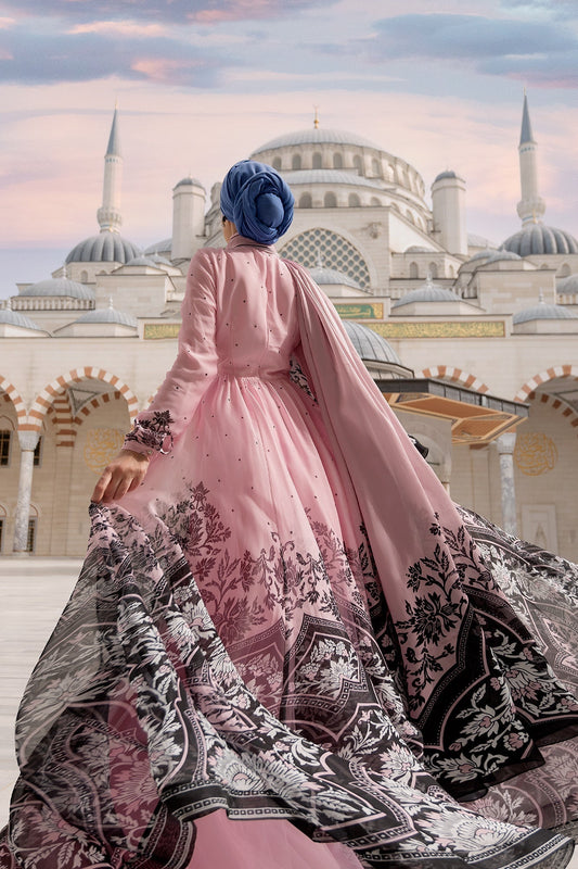 Rayyana Rose Chiffon Dress